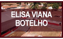 Escola Elisa Viana Botelho